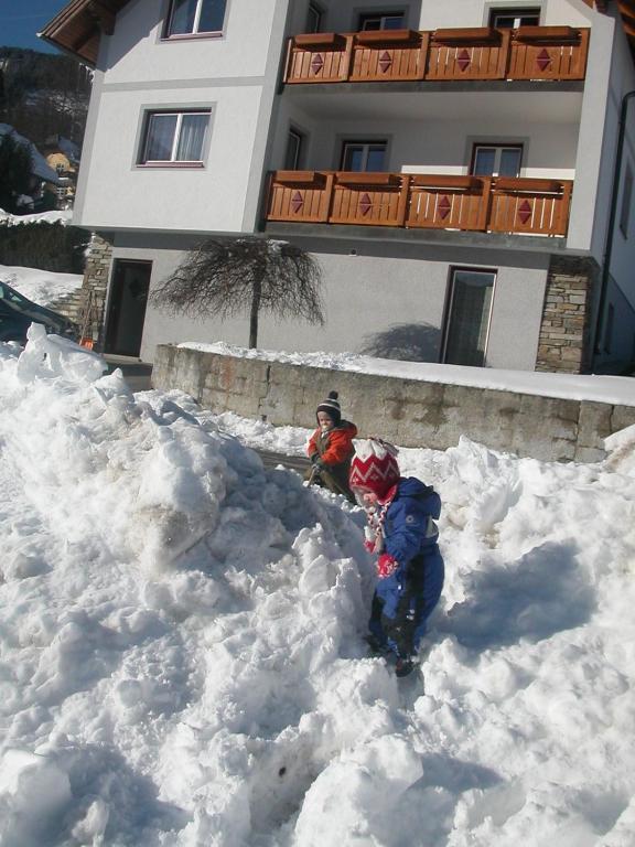 Haus Moni Daire Mauterndorf  Dış mekan fotoğraf